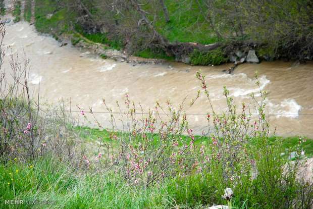 خسارت‌ های مالی و جانی سیل در کشور