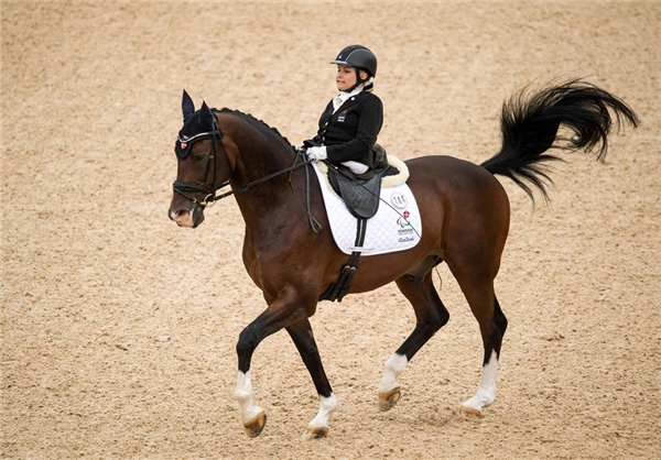 13950630000532_photol