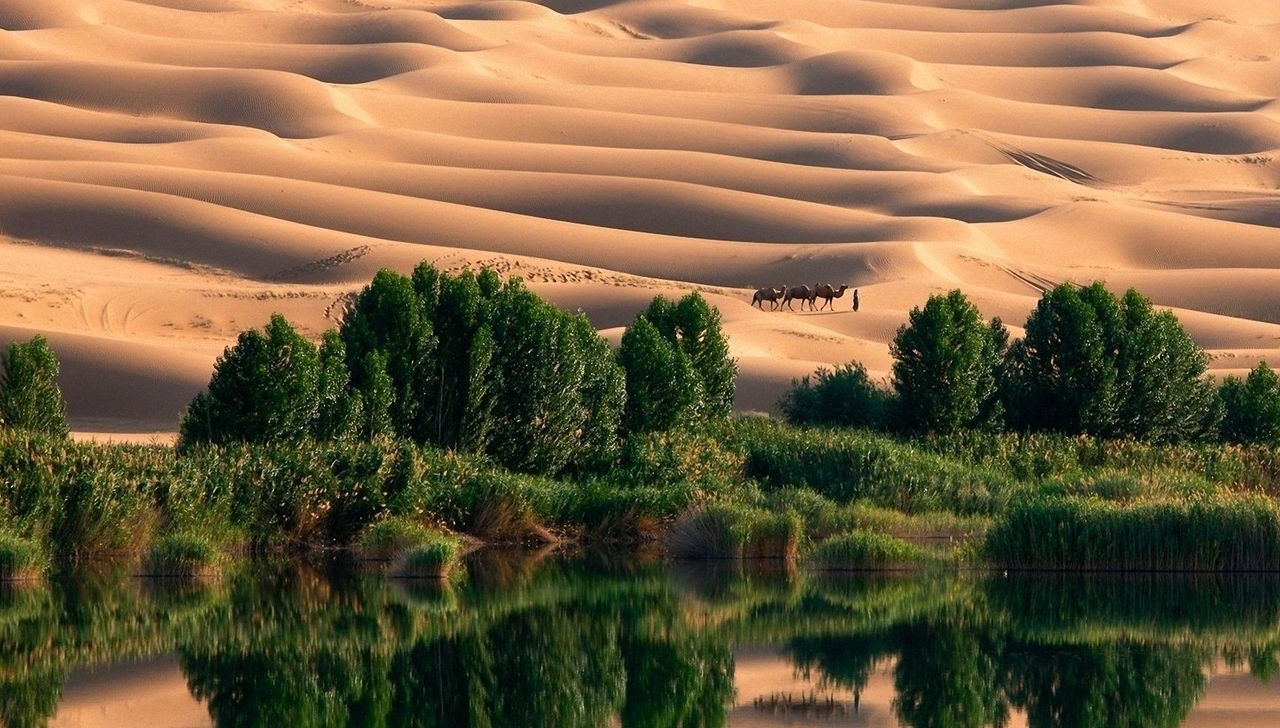 1__hamgardi_img12361143