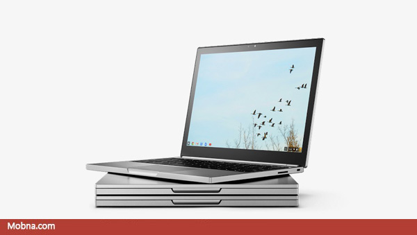 google-bison-pixel-3-1