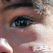 pic-87840-1473928698