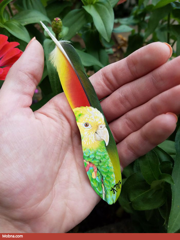 ۲۰۱۶۰۸۲۸_۱۴۰۱۵۴-۵۸۰۹۲۴۴۷۹۴۸e5__700