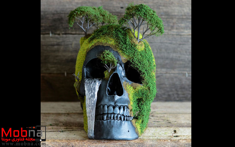 bonsai-skull-tree-jack-dust-26