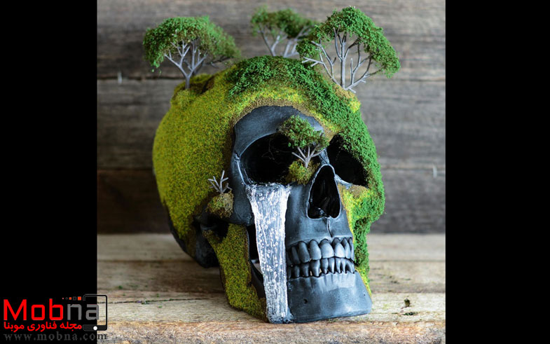 bonsai-skull-tree-jack-dust-31