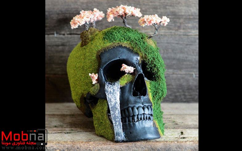 bonsai-skull-tree-jack-dust-34