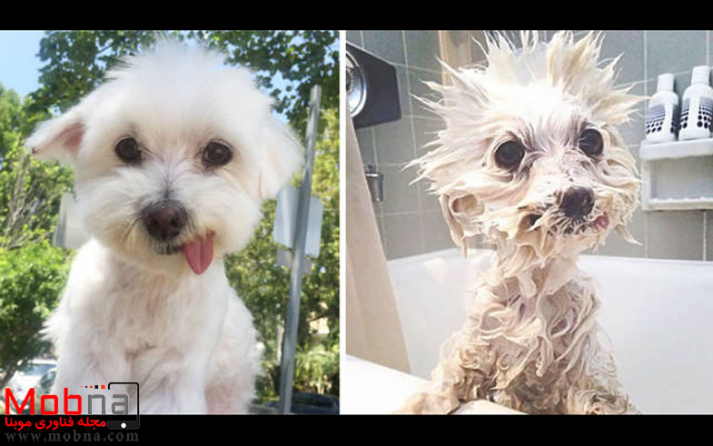 ۶۴۶۷۴۵۶۷۵۴۷