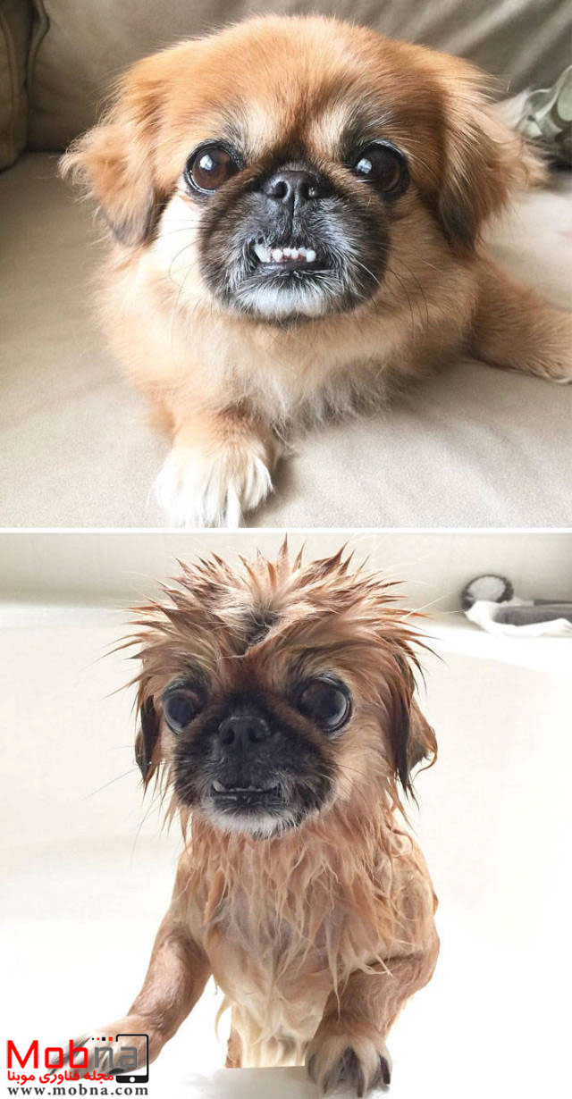 ۶۵۷۶۴۷۵۴۷۵۴