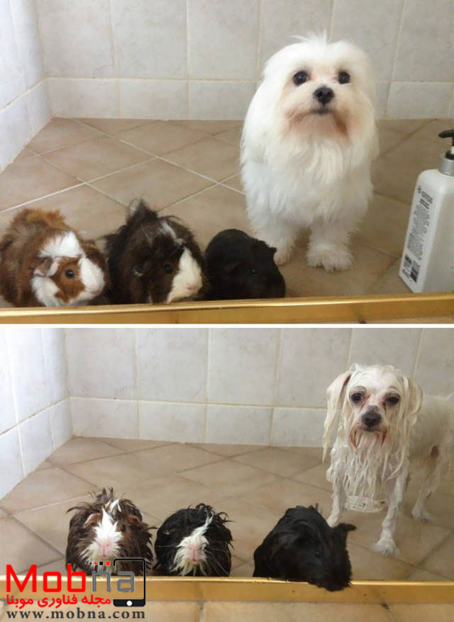 ۷۶۵۴۳۲۲۱۱۲