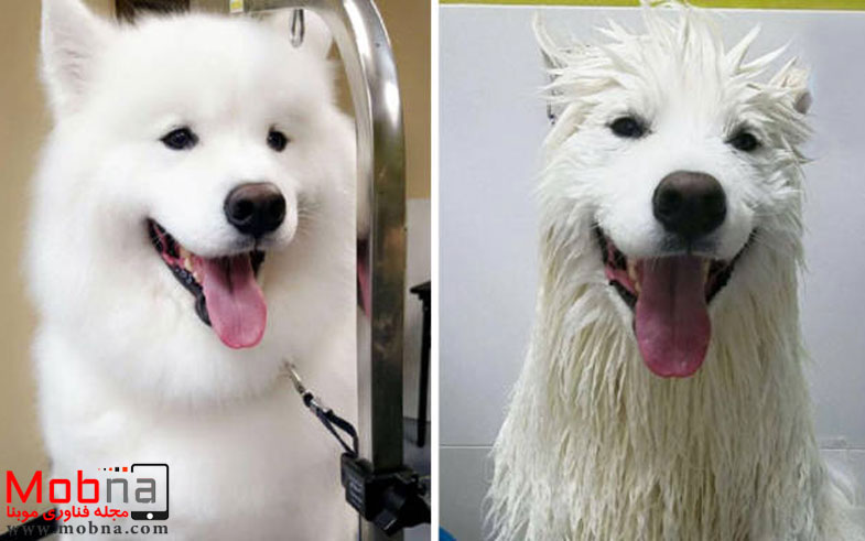 ۷۶۵۴۵۶۳۵۲۳۴