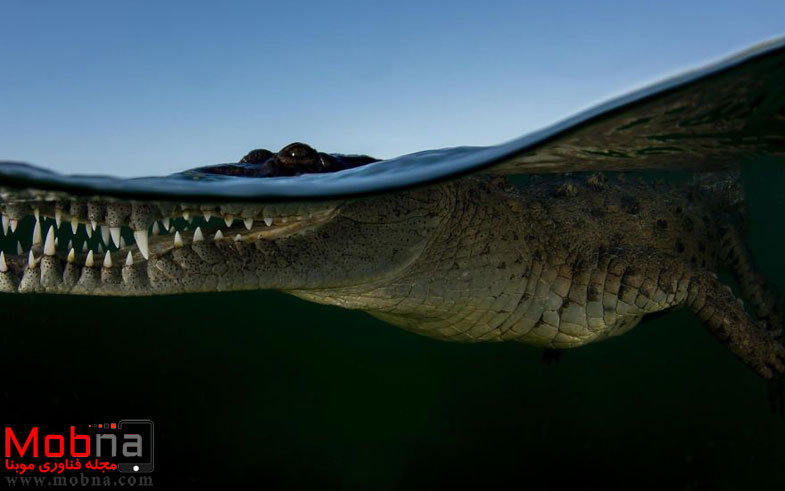 ۸۳۲۶۲۷۷_۱۶۰۰x1200-581f4d282c0c2__880