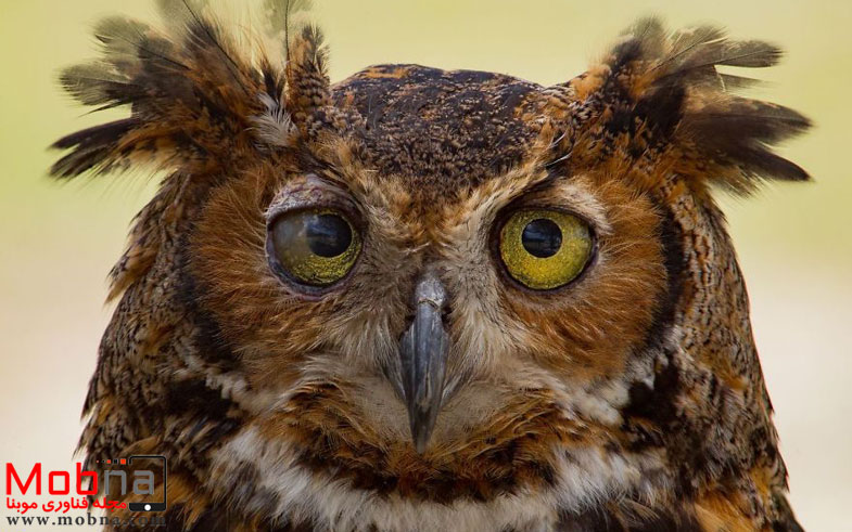 ۹۰۳۳۳۳۷_۱۶۰۰x1200-581f4d61130d0__880