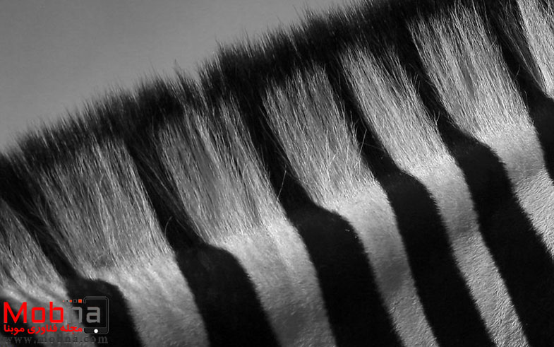 ۹۰۴۹۸۳۱_۱۶۰۰x1200-581f4d6d88f7d__880