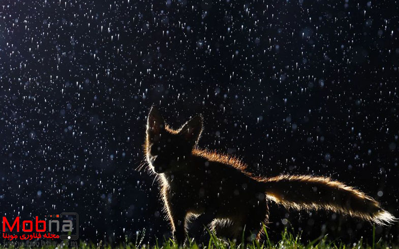 ۹۰۶۰۷۳۸_۱۶۰۰x1200-581f4d70e44b4__880