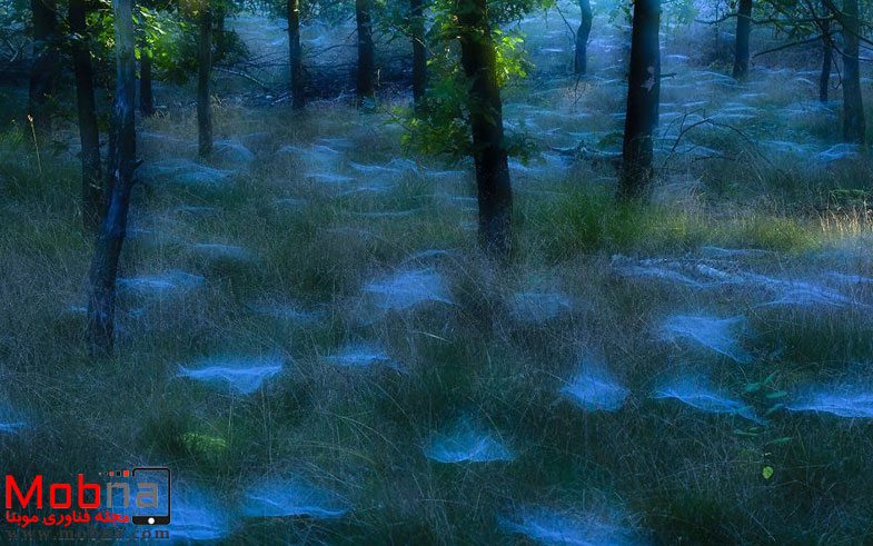 ۹۰۹۴۷۹۲_۱۶۰۰x1200-581f4d7ce5120__880