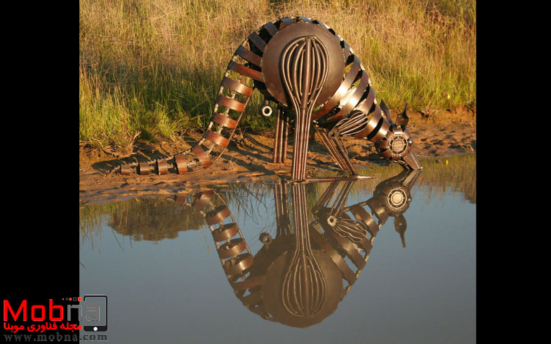 amelia-park-roo-582acc148c15e__880