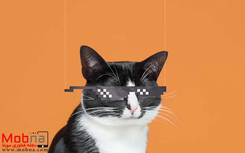 dealwithit_highres-574ddbacc2376__880