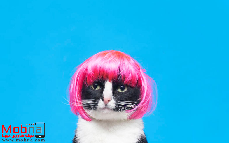 escaping-reality-with-princess-cheeto-574ddee128ca7__880