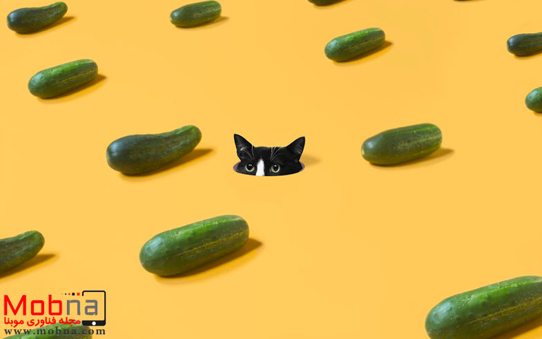 escaping-reality-with-princess-cheeto-575065d9874b1__880