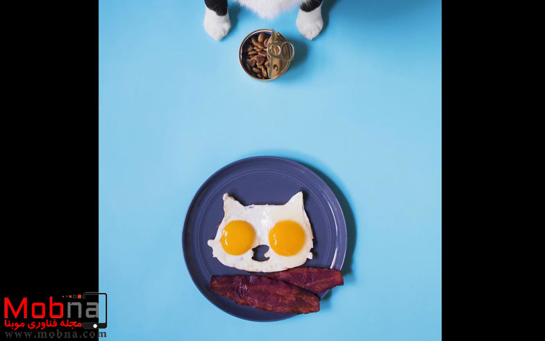 escaping-reality-with-princess-cheeto-5751250bd9ead__880