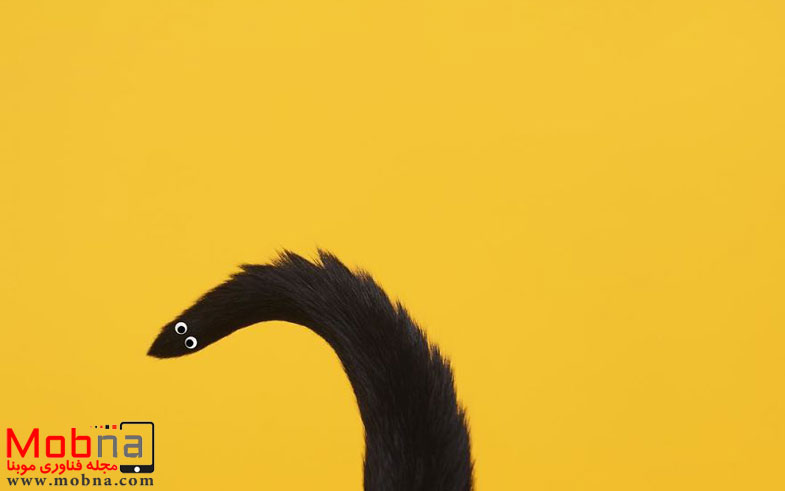 escaping-reality-with-princess-cheeto-5751251e94420__880