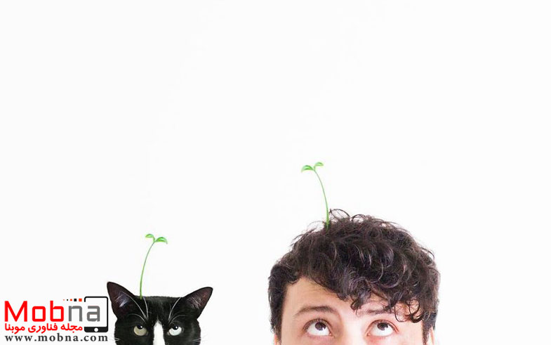 escaping-reality-with-princess-cheeto-5751252785228__880