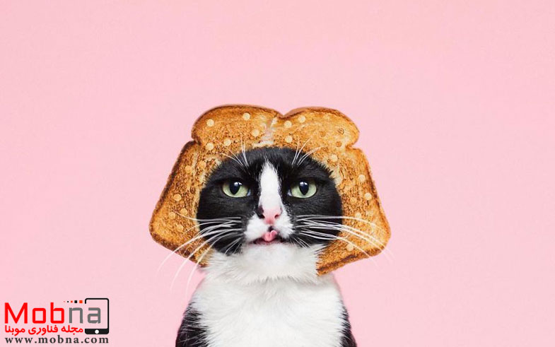 escaping-reality-with-princess-cheeto-5751255c4bc49__880