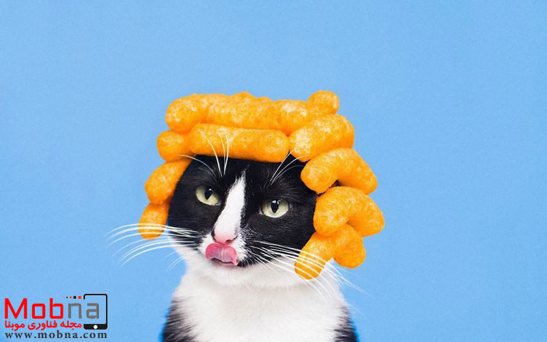 escaping-reality-with-princess-cheeto-57512567ca882__880