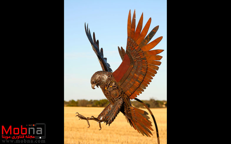 hawk-1-582acc47ad991__880