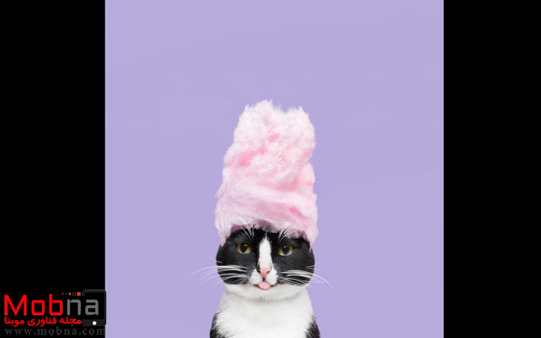 letthemeatcake_highres-574ddd1ad13c3__880