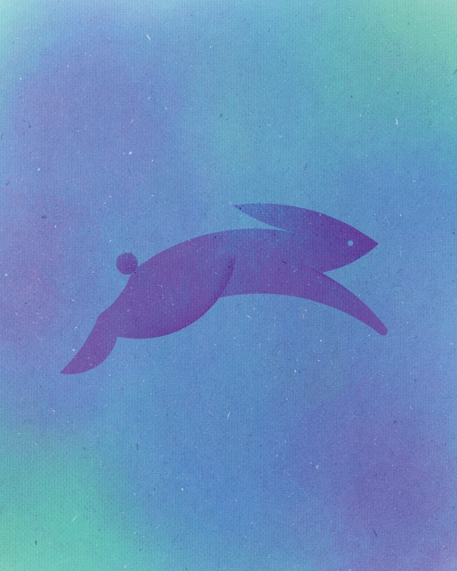 poster-rabbit-650-575968d6b6654__605