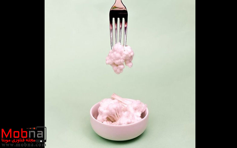 you-wont-believe-what-this-food-is-made-from-575a760971d44__