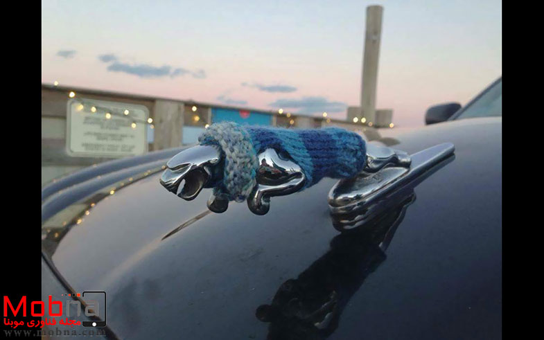 creative-car-owners-41-5805ebc962e0b__700