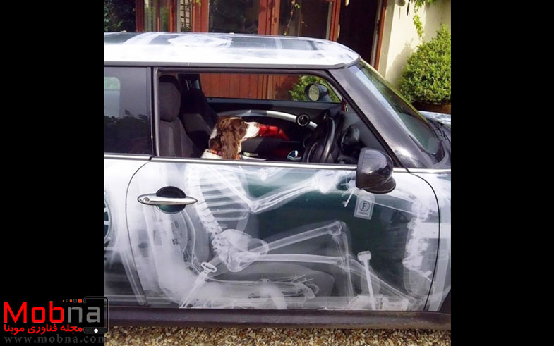 creative-car-owners-88-5807584ba4d6f__700