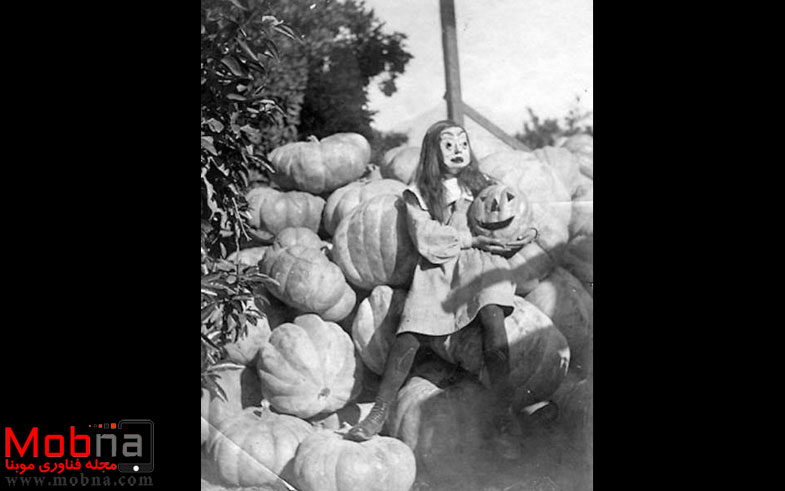 photo_2016-11-03_07-14-33