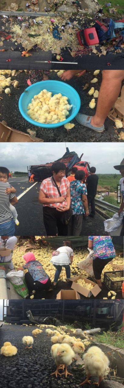 photo_2016-11-07_09-03-53