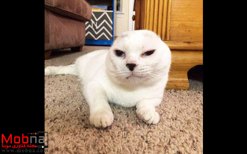 photo_2016-11-09_04-43-28