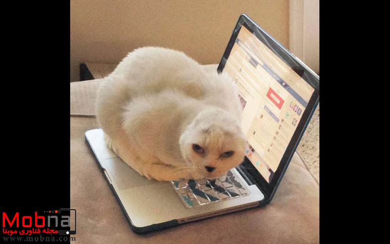 photo_2016-11-09_04-43-33