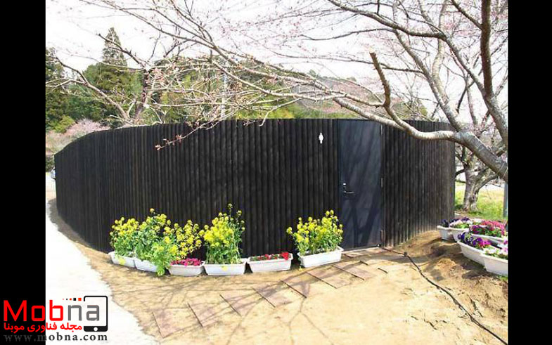 photo_2016-11-13_05-56-51