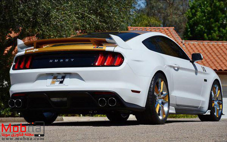 photo_2016-11-21_07-03-58