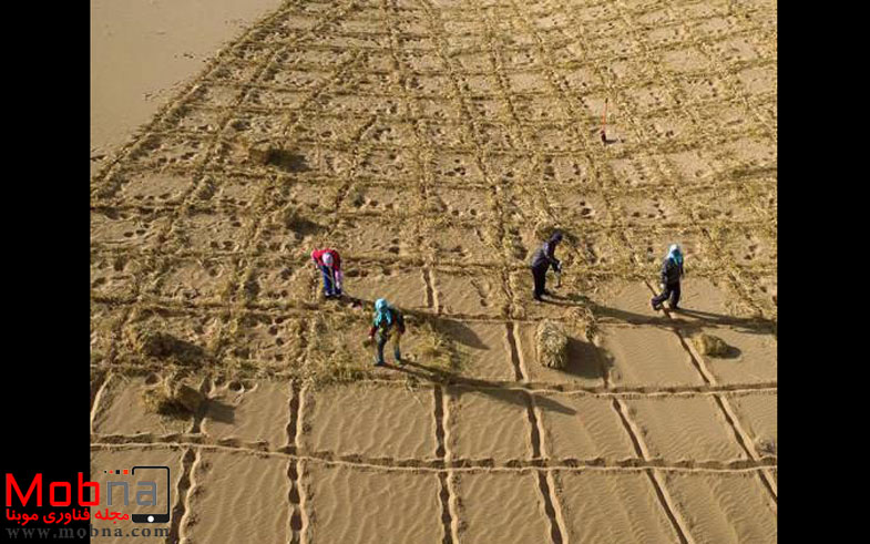 photo_2016-11-24_07-15-55