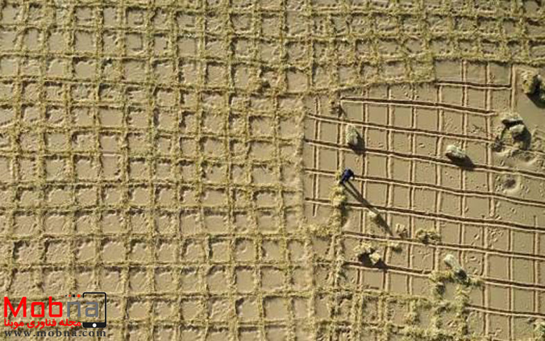 photo_2016-11-24_07-16-15