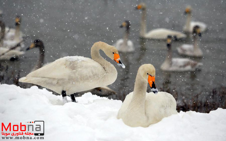 photo_2016-11-24_07-18-35