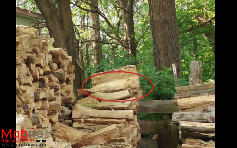 photo_2016-11-29_13-21-09