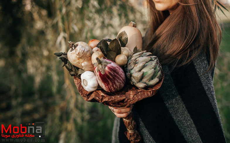 valgoma-1-4-5826db5a4e24e__880