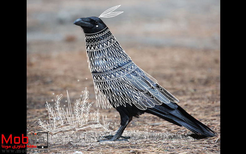 ۵dc3a03691846157558d58afcb1-5846a5d299ac7__880