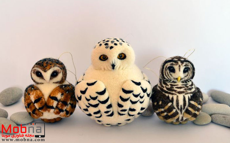 dsc_1502-5847c68a9982c__700