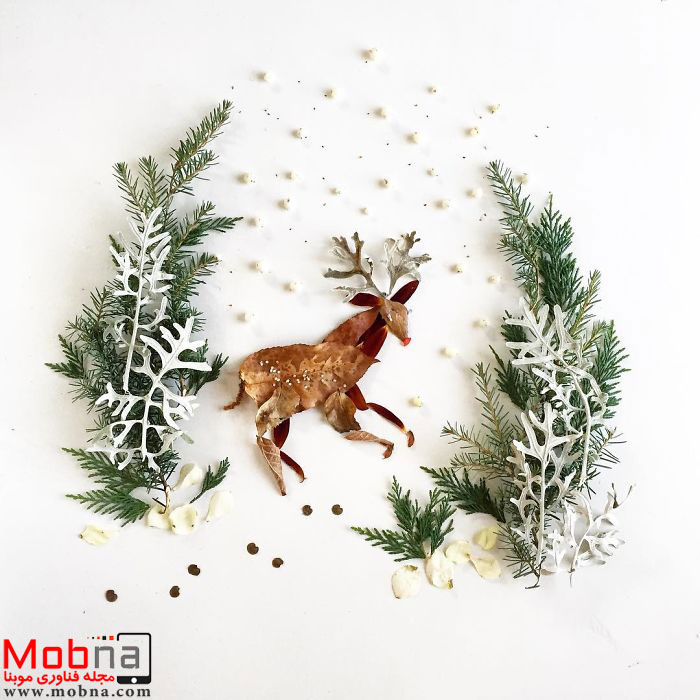 floraforager-turns-nature-into-art-584e62559d411__700