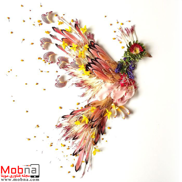 floraforagerfirebird-584b37d0e7649__700