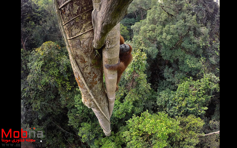 best-photos-2016-natgeo-national-geographic-6-5846f701a5c6f__880