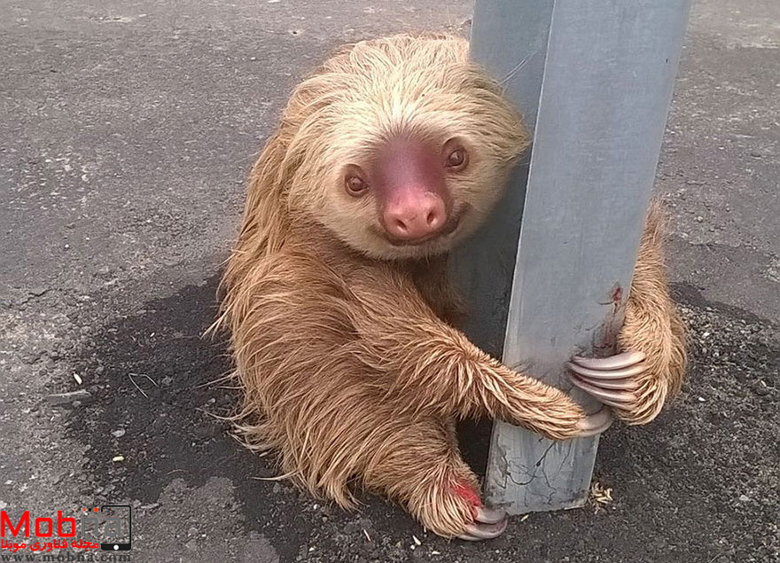 best-reuters-photos-2016-2-5857959e89ecb__880